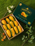 Chaunsa Mango